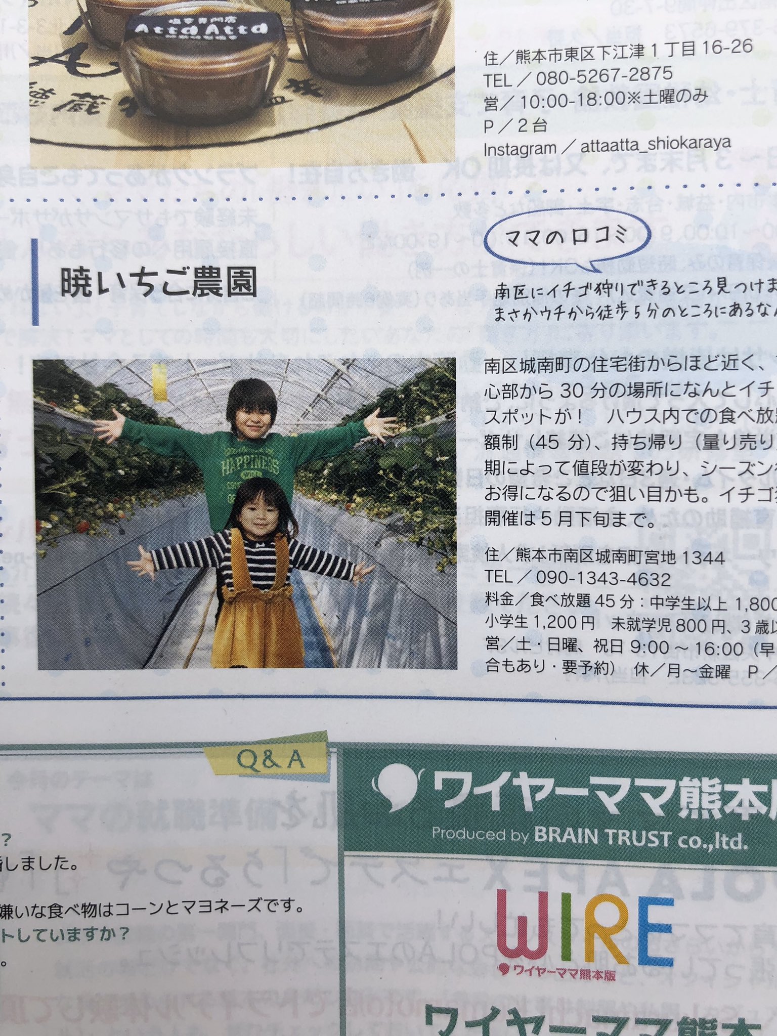 暁いちご農園 農業エンタメマン 地元紙へ掲載頂きました ありがとうございます 城南町暁いちご統一計画w じわじわと進めていきます さぁ 今日も頑張るばぃ 暁いちご農園 農業エンタメ あかつきいちご 城南唯一のいちご狩り 地元紙
