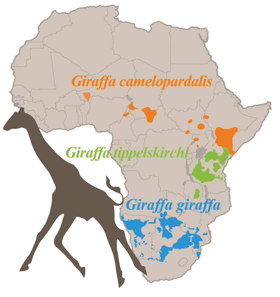 Giraffes Habitat Map