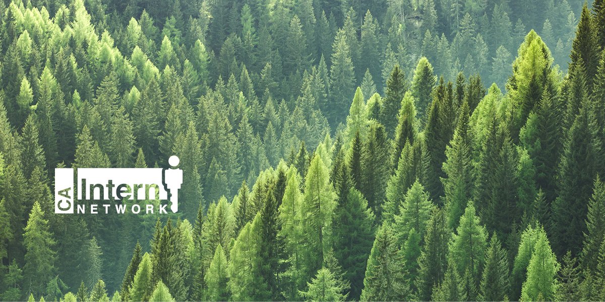 UEIJobs's tweet photo. Help the CA Dept. of Forestry &amp; Fire as a student assistant! Digitize spatial data related to regulated timber harvesting &amp; resource management programs, provide support to the Forest Practice GIS, &amp; related tasks. Apply at https://t.co/ZTsfeGswWi! #calfire #cainternnetwork https://t.co/HLkuGa9eVw