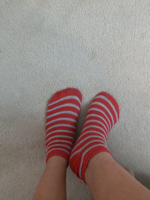 Socks! Grey and red!  #socks #footfetish #feet #feetporn #ilovefeet #followme #isellsocks #isellmystinkysocks<a href="/tag/socks"class="tags">#socks</a><a href="/tag/footfetish"class="tags">#footfetish</a><a href="/tag/feet"class="tags">#feet</a><a href="/tag/followme"class="tags"><span>#followme</span></a><a href="/tag/footjob"class="tags"><span>#footjob</span></a><a href="/tag/usedsocks"class="tags"><span>#usedsocks</span></a><a href="/tag/socksforsale"class="tags"><span>#socksforsale</span></a><a href="/tag/anklesocks"class="tags"><span>#anklesocks</span></a>