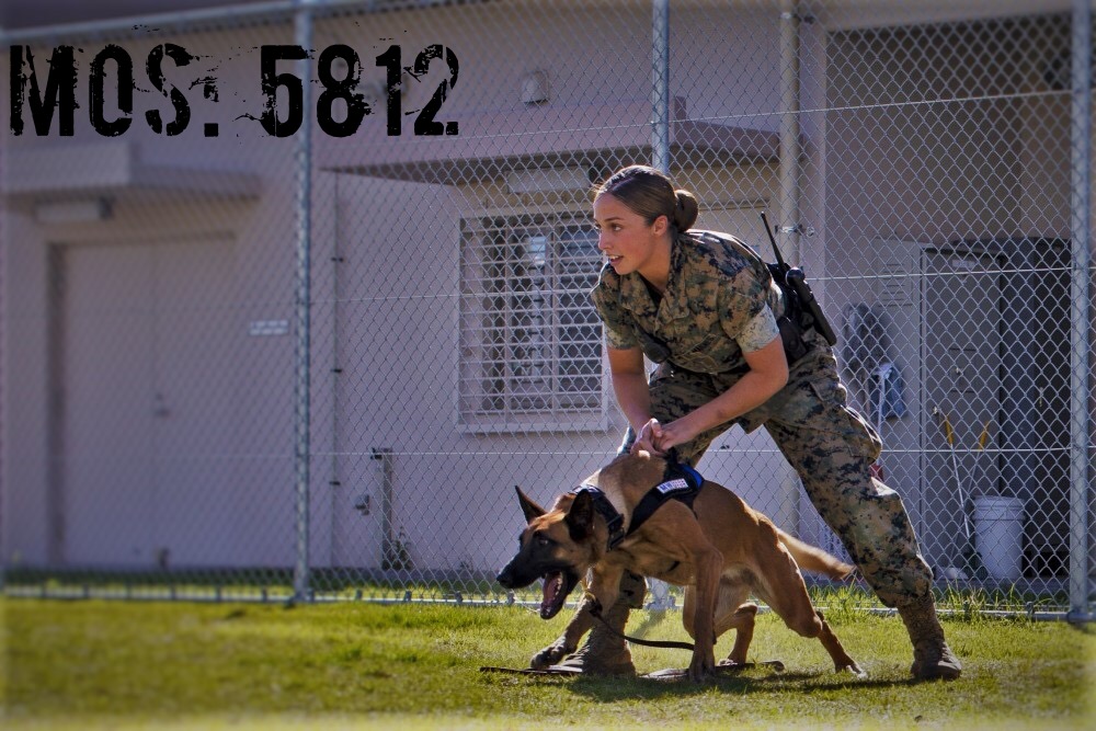 PittsburghMarines tweet media