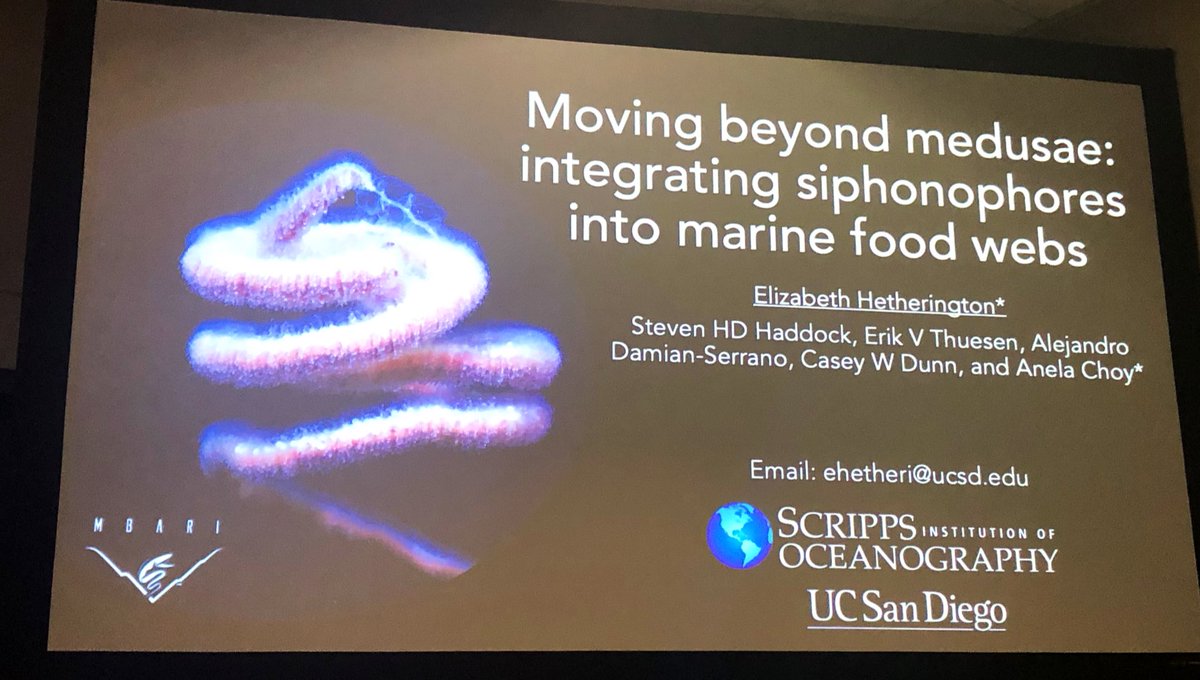 planktomancer's tweet image. Breathtaking talk by @lizheth_sd on the role of #siphonophores in open ocean #foodwebs ! The sampling method matters when piecing together community composition #SiphWEB #OSM20