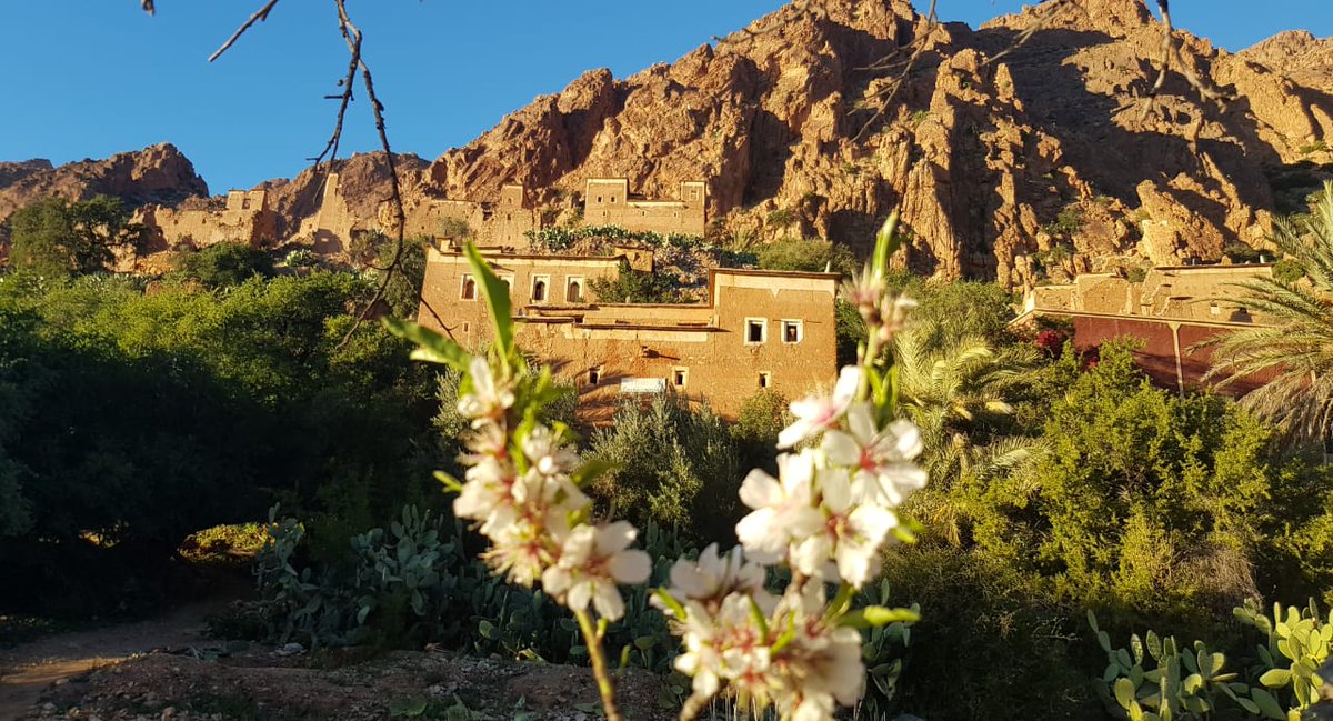 berbertreks's tweet photo. We offer a 7-day holiday in the Ammelnes Valley, visiting #valleys, #gorges, #Tafraoute and #Tarroudant, as well as the Eco Museum, learning about #Berber culture, the production of #arganoil, and bartering in local markets. #morocco #localgroundhandlers https://t.co/SiAHdZ7mMk https://t.co/3qwKhU3SpC