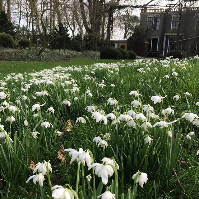 Huizen voor de Toekomst tweet media
