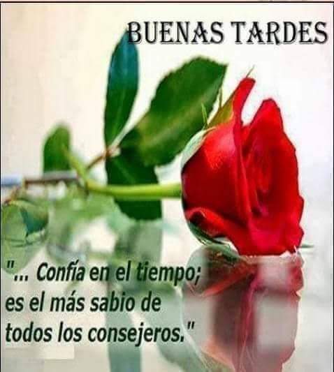 Patrici58275001's tweet photo. ** Buenas #Tardesss ... 🌸💮🌺
Sigue el calor #agobianteee .... ** 🤩🥳🥰 https://t.co/X3M3QzUJEr