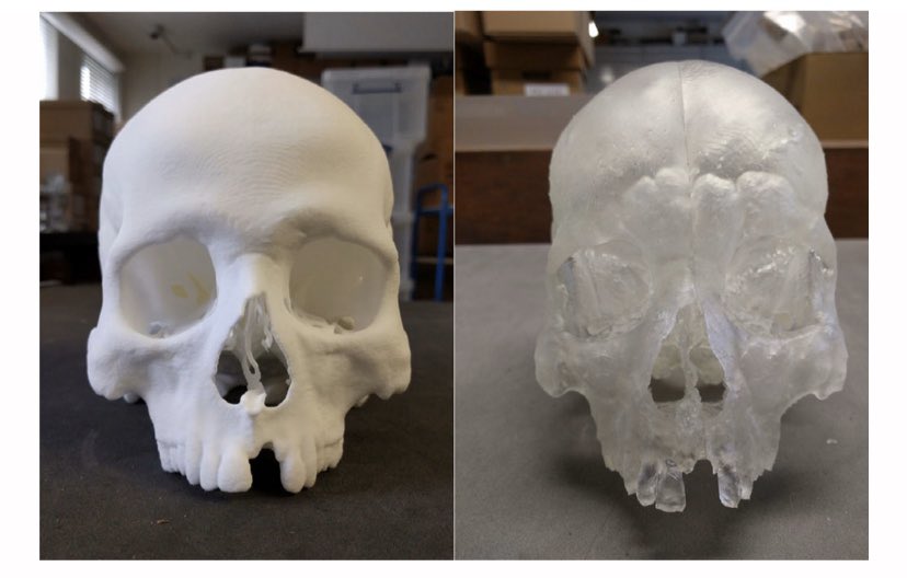 AnthroNfj's tweet photo. Found this interesting #openaccess paper by Carew et al. 2019 for #bioanth20 “3D Modeling” titled: A Preliminary Investigation into the Accuracy of 3D Modeling and 3D Printing in Forensic Anthropology Evidence Reconstruction https://t.co/FqzUeN4sYd