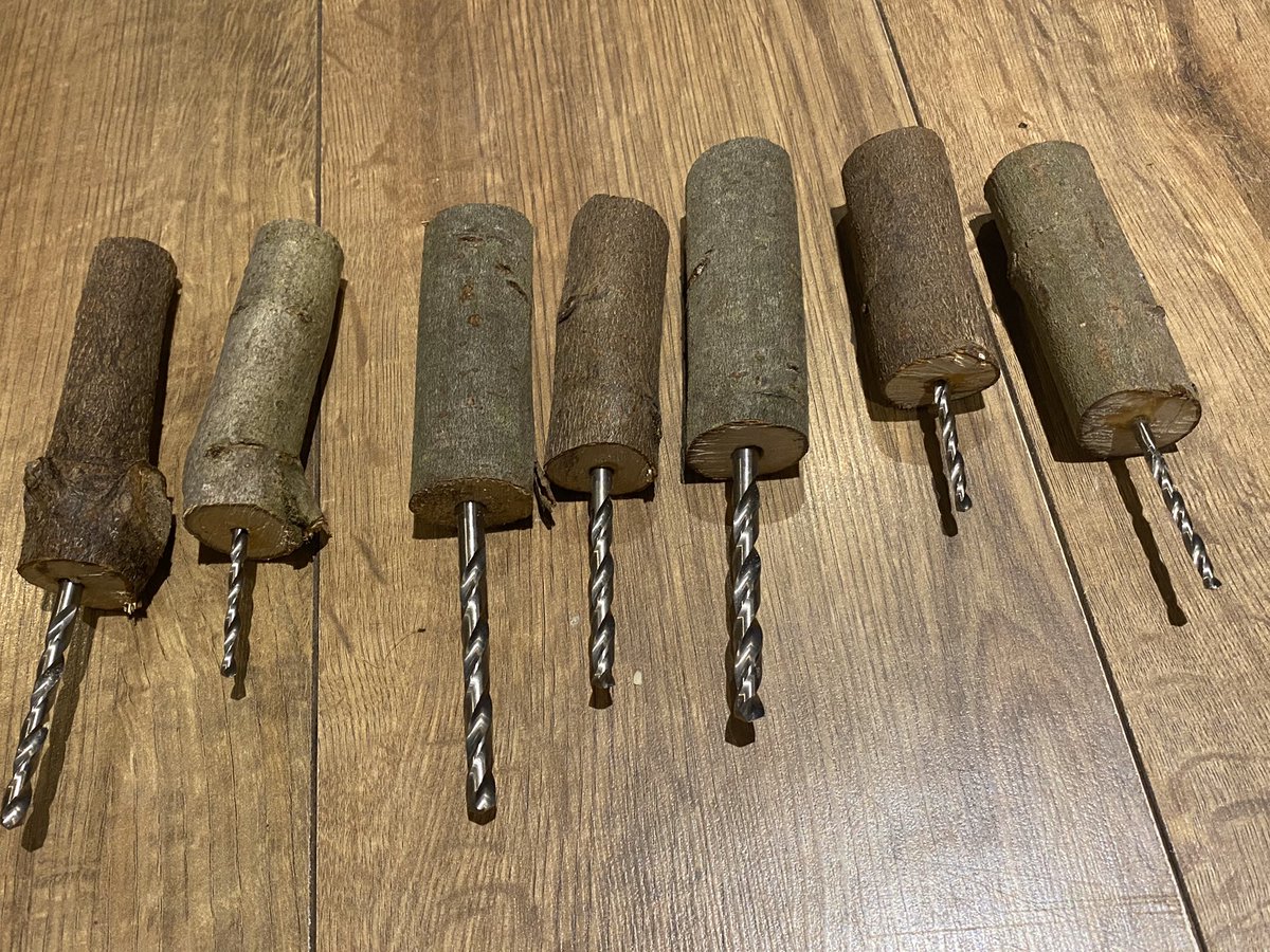 GoWildOutdoors's tweet photo. After today’s session got making some natural palm drills..these should the job  and a lot cheaper..! #handmade #makeyourown #woodtools #palmdrill #diy #forestschool #forestschool #forestschoolideas #forestschooluk #forestschooltools https://t.co/fwQweZhRWs