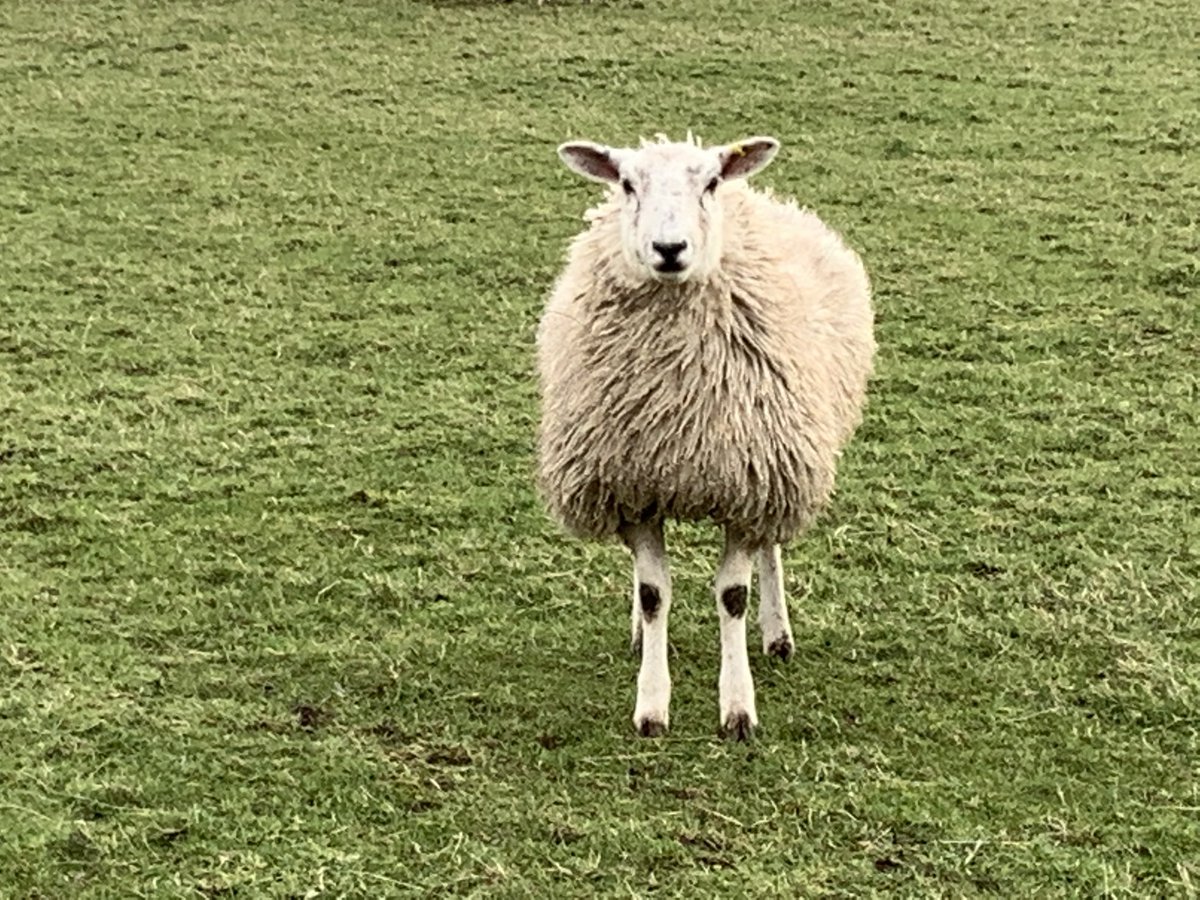 Day 2 of 7 life in pictures no words or people Thank you ⁦<a href="/RChillery/">Richard Chillery 🏳️‍🌈</a>⁩ I nominate ⁦@carolinegraha35⁩