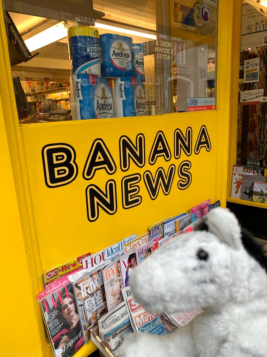 Have I drunk too much or am I the world’s first unicorn zebra?!