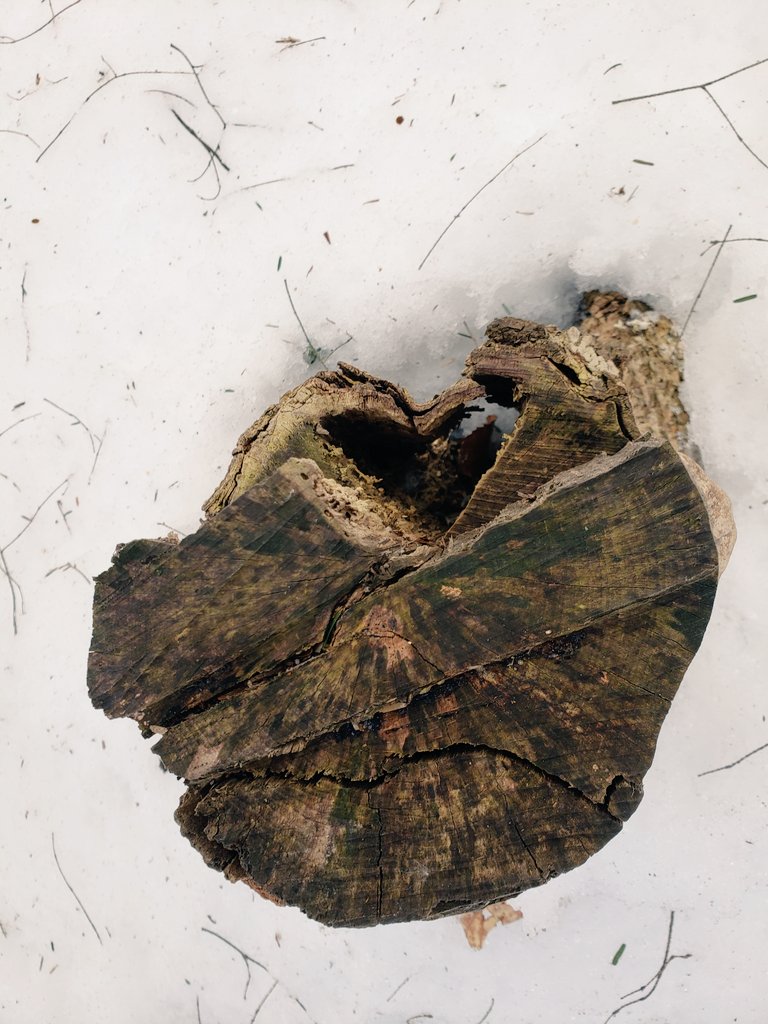 Megan Popovich (@popovichmeg) on Twitter photo Olivia and I found #love while taking a hike and and soaking up some sun today! 💚☀️ #McNLove <a href="/mcnposproject/">McNamara Positivity Project</a> <a href="/PosProject/">The Positivity Project</a> Olivia and I found #love while taking a hike and and soaking up some sun today! 💚☀️ #McNLove <a href="/mcnposproject/">McNamara Positivity Project</a> <a href="/PosProject/">The Positivity Project</a>