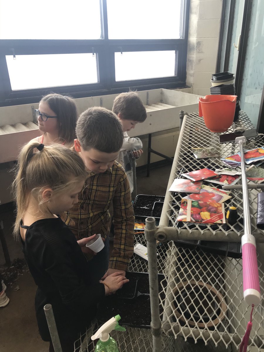 FettKyle's tweet photo. Third graders are planting in the greenhouse today. It won't be long until we have veggies and flowers sprouting! #AldenPride #IFACadetPride https://t.co/Qp1m7gvF16