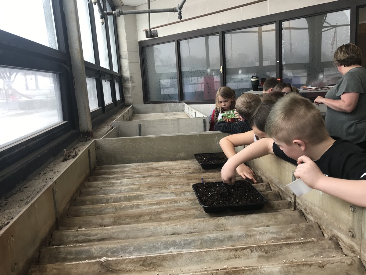 FettKyle's tweet photo. Third graders are planting in the greenhouse today. It won't be long until we have veggies and flowers sprouting! #AldenPride #IFACadetPride https://t.co/Qp1m7gvF16