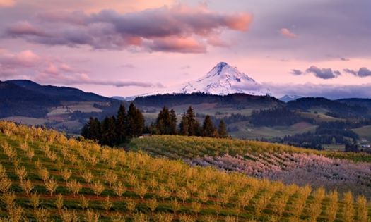 fcasolutions's tweet image. We're proud to sponsor this @gorgegrown event! Join us at the Columbia Center for the Arts to talk about the Hood River Watershed this Wednesday. Learn more: buff.ly/324W4n6 #irrigation #watershed #oregon