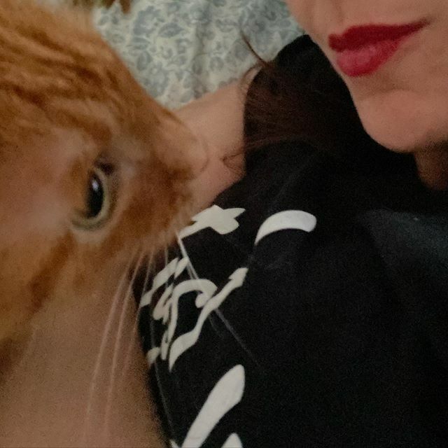 cutiemonstrface's tweet photo. This about sums up 13.5 years together. https://t.co/zdIVHEZLXC https://t.co/1wJPUmdrm2