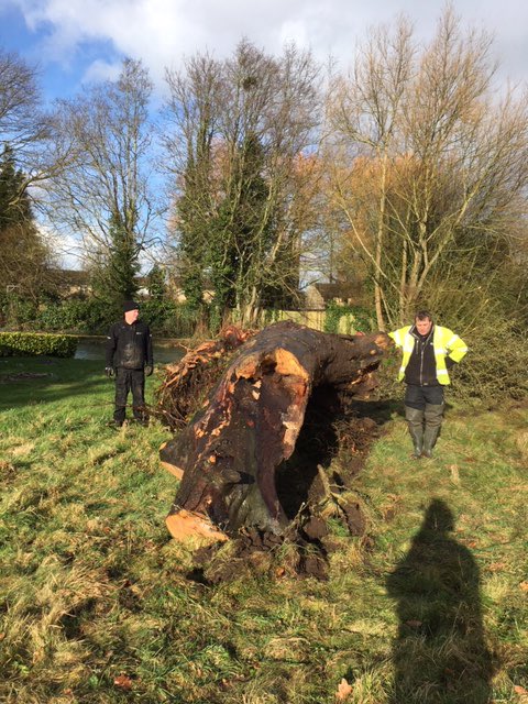MarkHill03's tweet photo. #Thames Field teams were called to a tree spanning the whole of the River Coln at Fairford today. No job too big for the Cotswold Team! @maria_herlihy @Jennifer_Hil1 @wifo_ea @EnvAgencySE https://t.co/ViBN2YWlcA