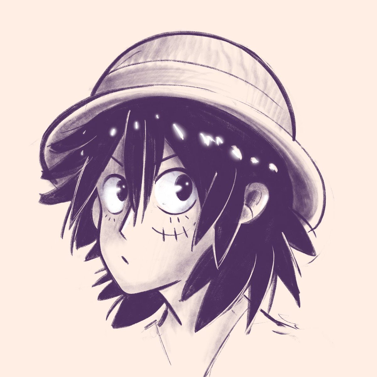 MongeHan's tweet photo. Cmo eu amo desenha cabelo fiz de estudo os meninos de one piece mas com cabelão https://t.co/p1yzqIL8gY