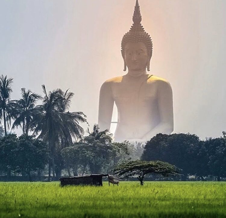 villamsamui's tweet photo. Traveling - it leaves you speechless, then turns you into a storyteller ...
#watmuang #bestplacestogo #amazingthailand #villamsamui #dotiutravel #bestquotes #ThinkBIGSundayWithMarsha https://t.co/Jy90Wn5m90