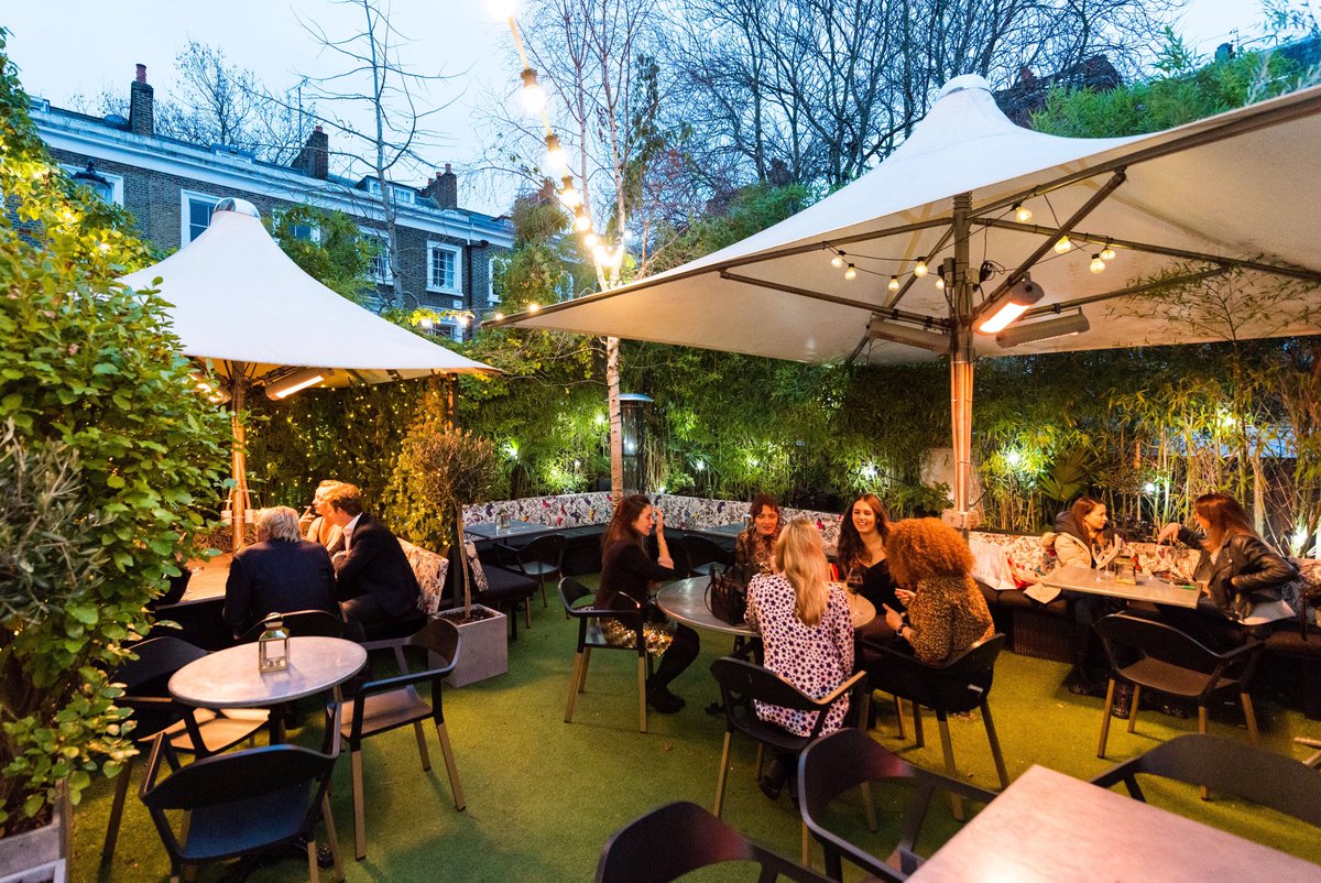 The Phene tweet media