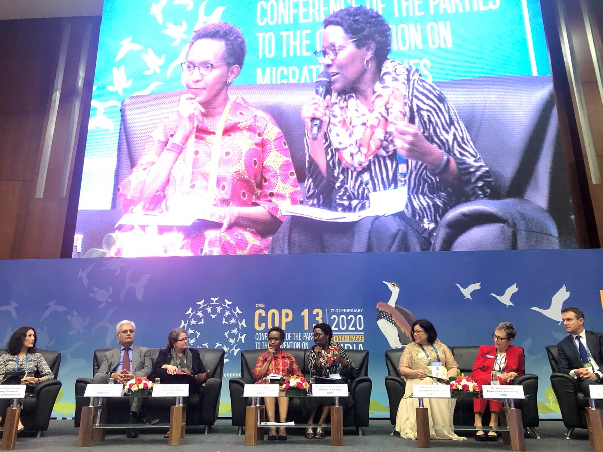 UNBiodiversity's tweet image. “It is fitting that the #SuperYear for #biodiversity, and our road together towards an ambitious global framework in Kunming, begins with #CMSCOP13.”

-CBD Acting Executive Secretary @mremae at the @BonnConvention conference on #MigratorySpecies.

#EcologicalConnectivity