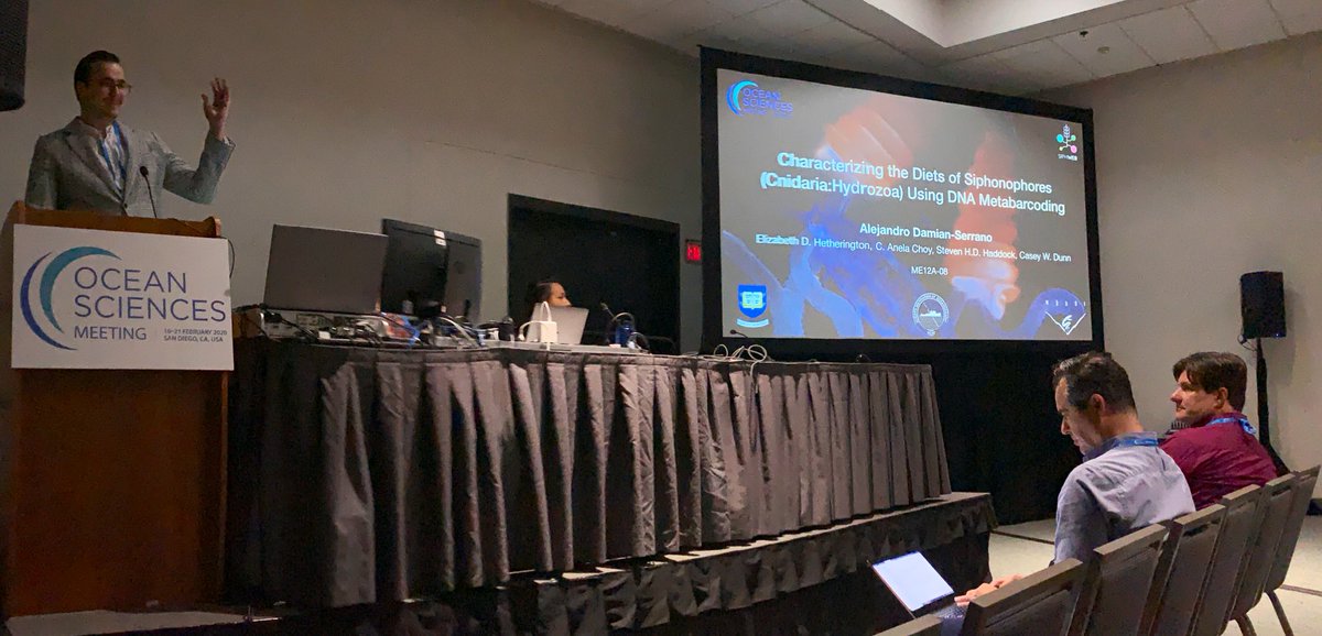 planktomancer's tweet image. Today I gave my talk at #OSM20 on the exploration of #siphonophore diets using DNA metabarcoding under the project #SiphWEB