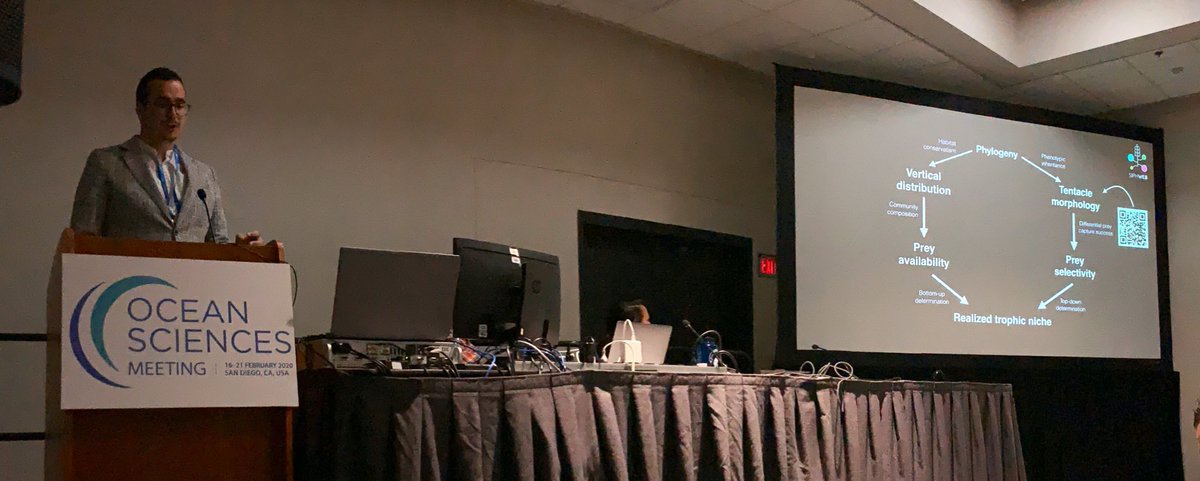 planktomancer's tweet image. Today I gave my talk at #OSM20 on the exploration of #siphonophore diets using DNA metabarcoding under the project #SiphWEB