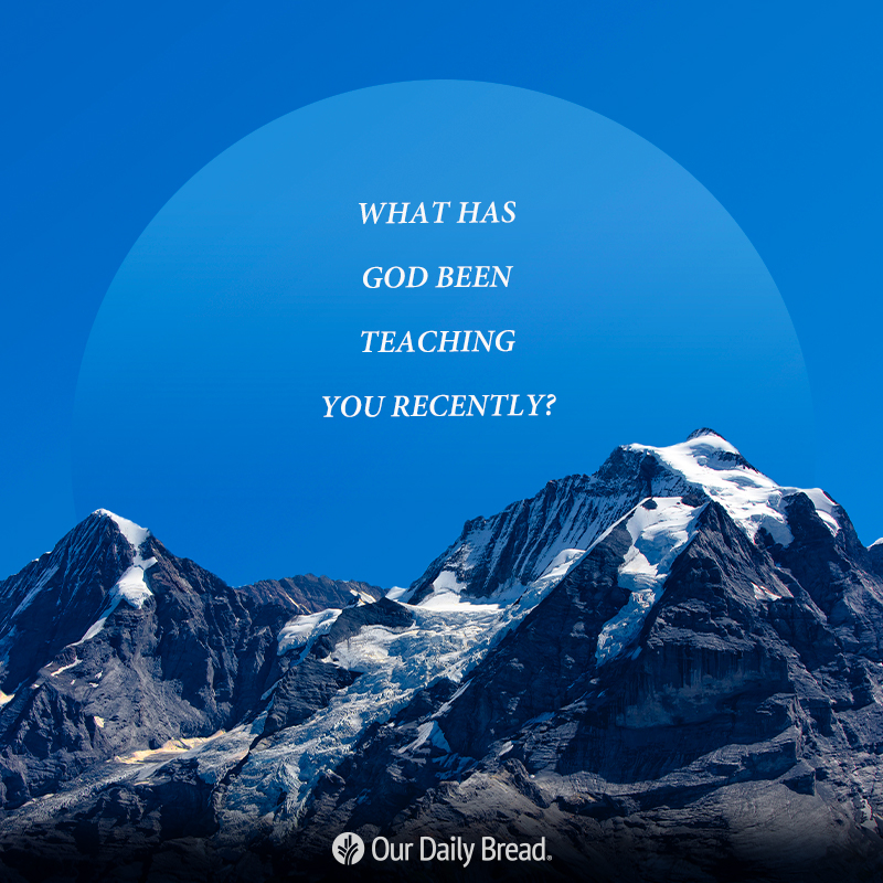 ourdailybread's tweet image. What lessons have you been learning?⁣
⁣
#godhasbeenteachingme #imlearning