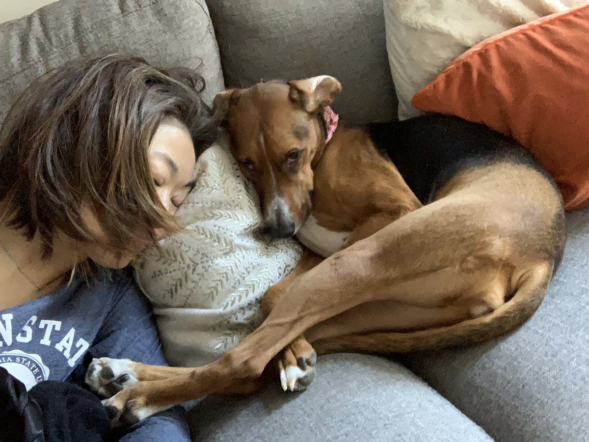 pamelaspunch's tweet photo. A late afternoon nap 💤 with a rescue pup 🐾 is a VERY good thing. #couchnap #rescuedog #PresidentsDay2020 #napitude #Naptime https://t.co/8R9KvCWnJt