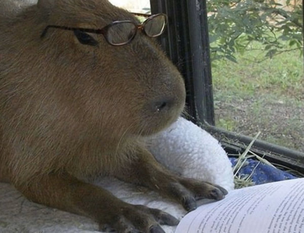 me at 29 reading one page of an 8th grade reading level book bc i lost all my brain cells on twitter