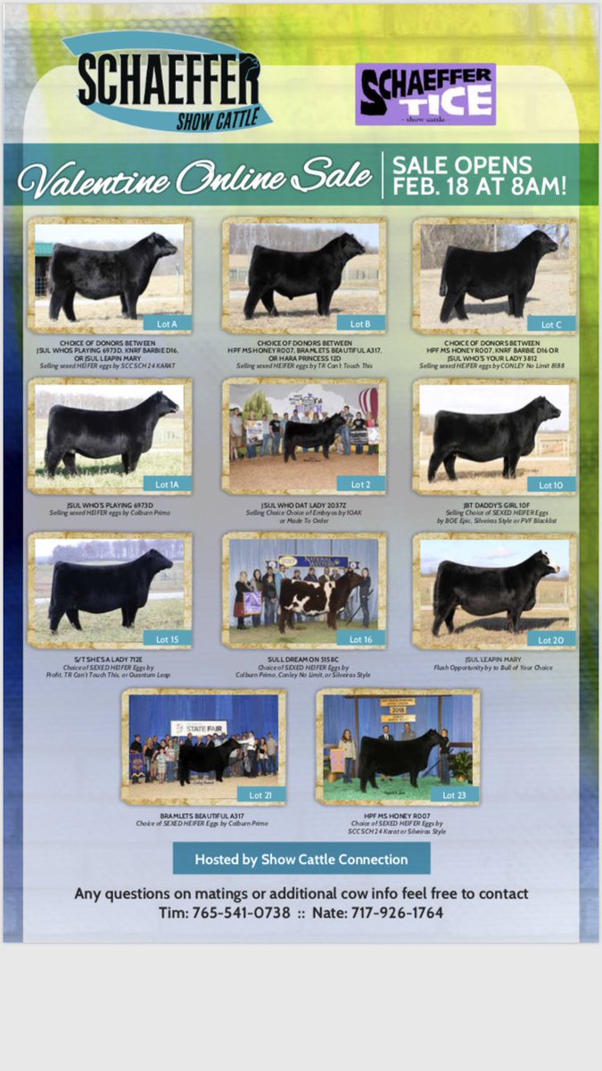 BIDDING IS OPEN Schaeffer Tice “Be My Valentine” online genetics sale. Click to view catalog : auctions.thewendtgroup.com/auction/7115 <a href="/TiceNate/">nate tice</a> <a href="/madcaldwell/">maddie caldwell</a>