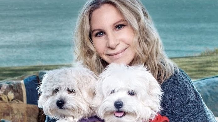 Why did Barbra Streisand clone her pet dog?

Find out in the latest episode all about AGING!

bit.ly/RunWithMeApple

#podcast #britpodscene #mondaythoughts