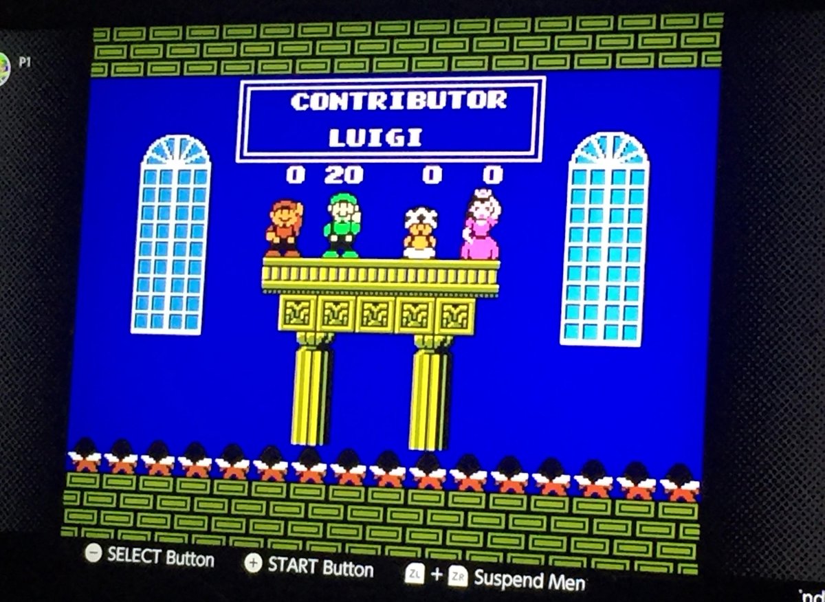 No Context Luigi (@nocontextluigi) on Twitter photo 