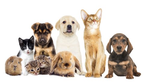 Come down to London Drugs for our Family Day Photography Event.
Next Event is Pet Photography 230pm-315pm <a href="/LDCampbellRiver/">London Drugs CR</a> #canoncanada