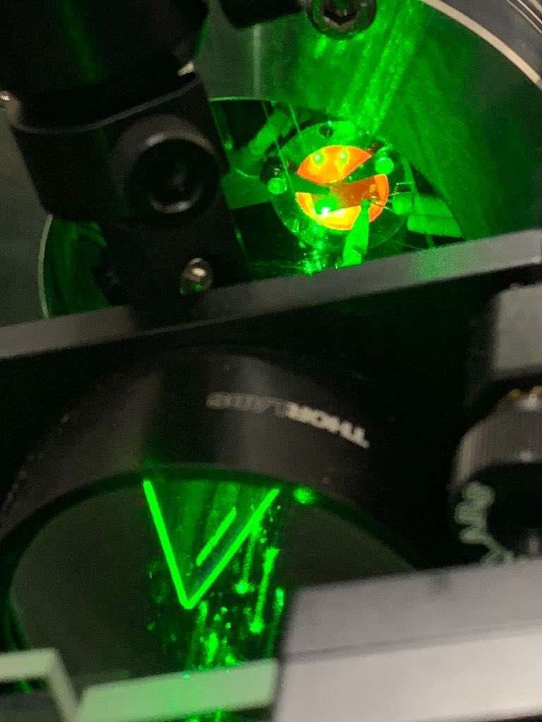 Felix Hofmann tweet media