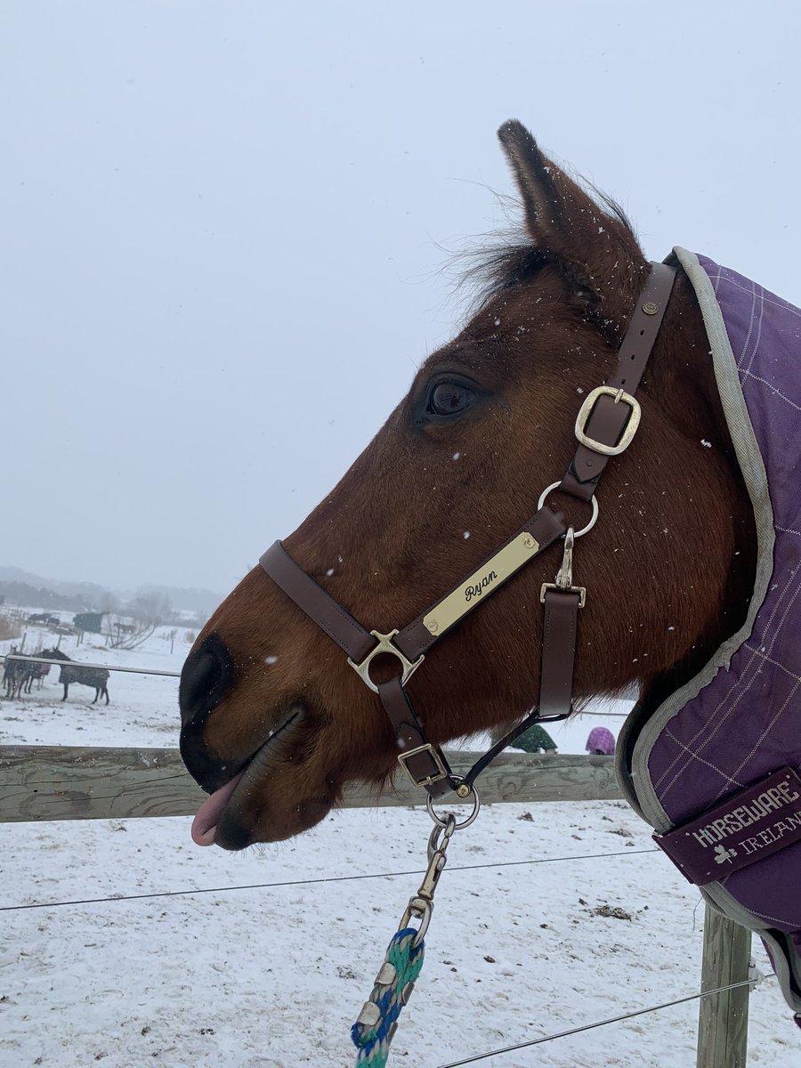 snowflakes r yummy 😛