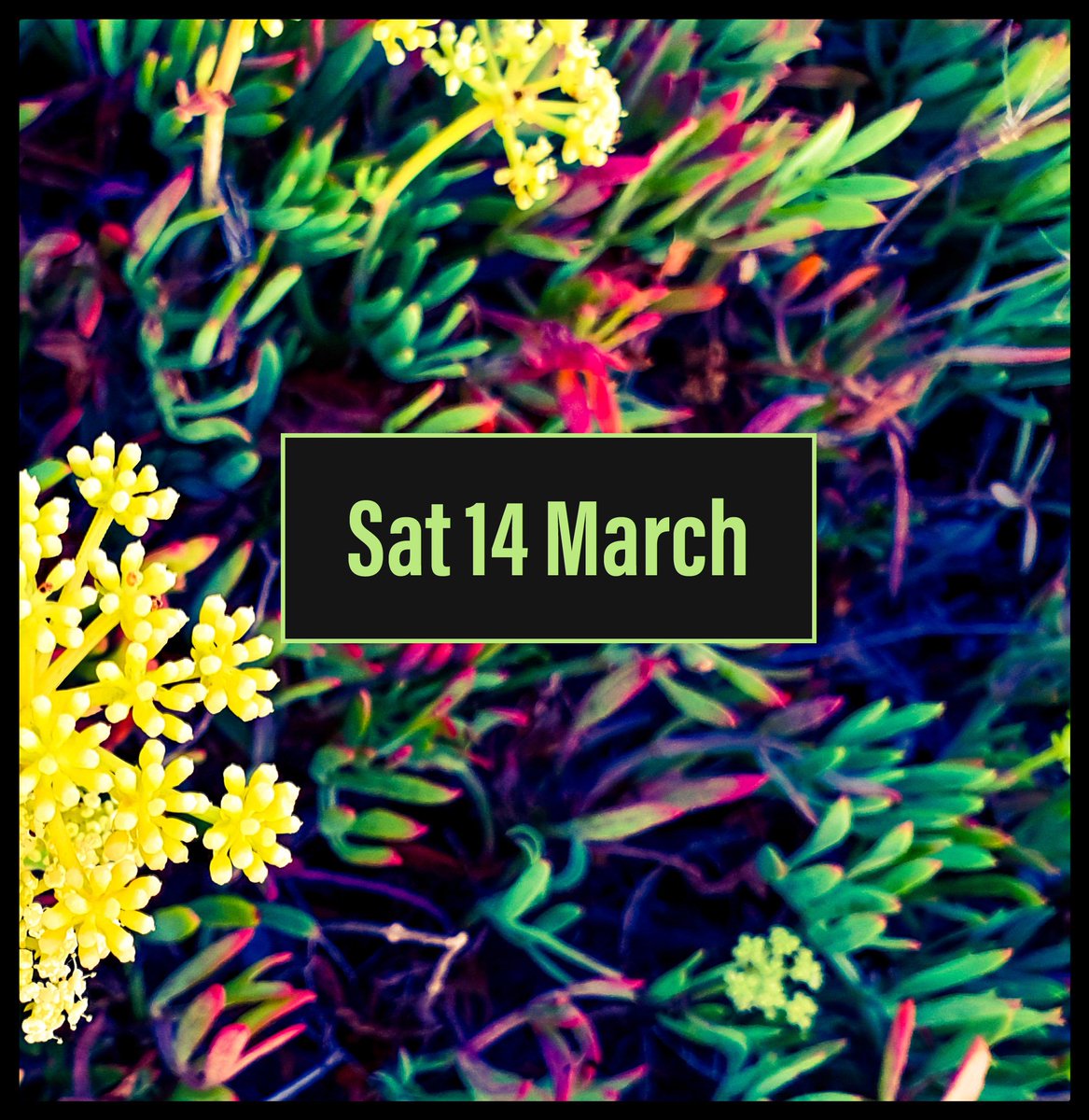 Our first <a href="/FunkyCraftFayre/">Funky Craft Fayre</a> of 2020! See you there! <a href="/OstremeCentre/">Ostreme Centre</a> Mumbles, SA3 4BA #mumbles #crafts #handmade #mothersdaygifts