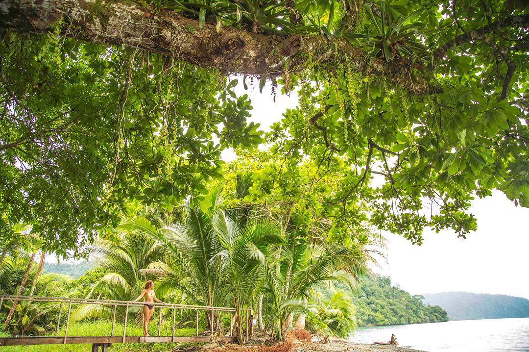 The amount of vegetation in our facilities is huge. Visit us and discover paradise 😍😍❤️
📸 By <a href="/Travelista73/">Travelista73</a>
.
.
.
#nature #travel #happy #wildlife #discover #puravida #costarica #green #ecosystem