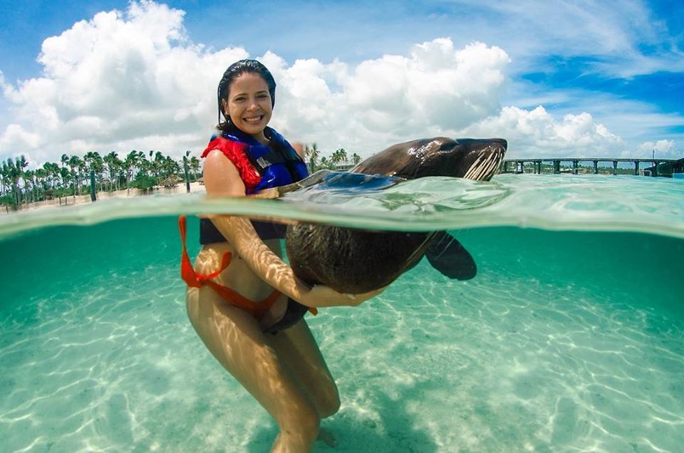 dexplorerpark's tweet photo. An unforgettable experience¡
______________________________
!Una experiencia inolvidable¡

 https://t.co/DCbEP7gGX2
#DolphinExplorer #PuntaCana #DominicanRepublic. https://t.co/chNs85LxIu