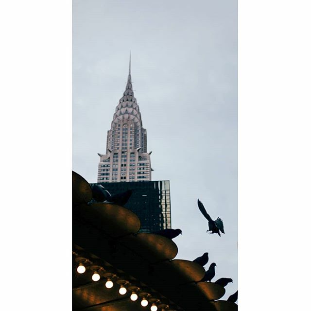 MSwiderek's tweet photo. Chrysler Building. NYC. #newyork #gf_streets #newyork_ig #nyc_explorers #nycprimeshot #nycityworld #newyorklike #usa #city #urban #streetphotography #nyc #ny #manhattan #shutterpresser #doyoutravel #travelling #travel #photography #photo #gh4 #lumix #panasonic #architecture … https://t.co/FodscGaN81