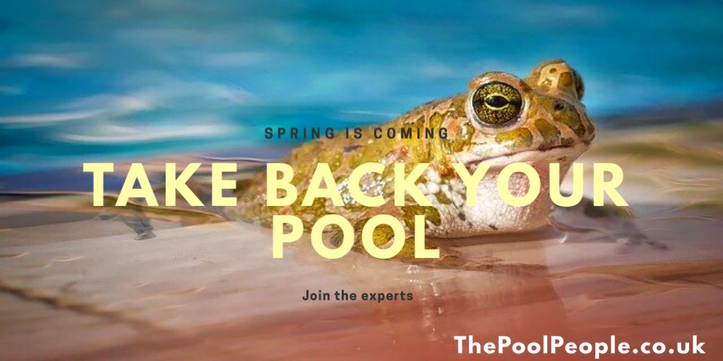 Spring is only just around the corner. Visit us at thepoolpeople.co.uk and let’s get you pool ready. #StormDenis #spring #swimming #pool #chilling