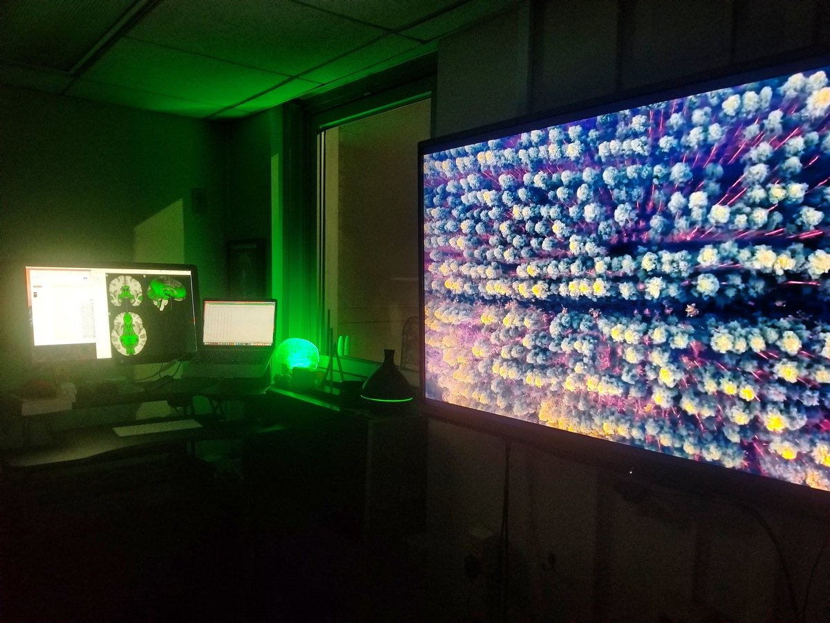 neuromichael's tweet photo. Today's office vibe. #green #eucalyptus #trees #forest #flow #brain #mind #science #research #neurology #cognition #medicine #worklife #academiclife #bostonlife #officezen https://t.co/m7FeYV9m6y