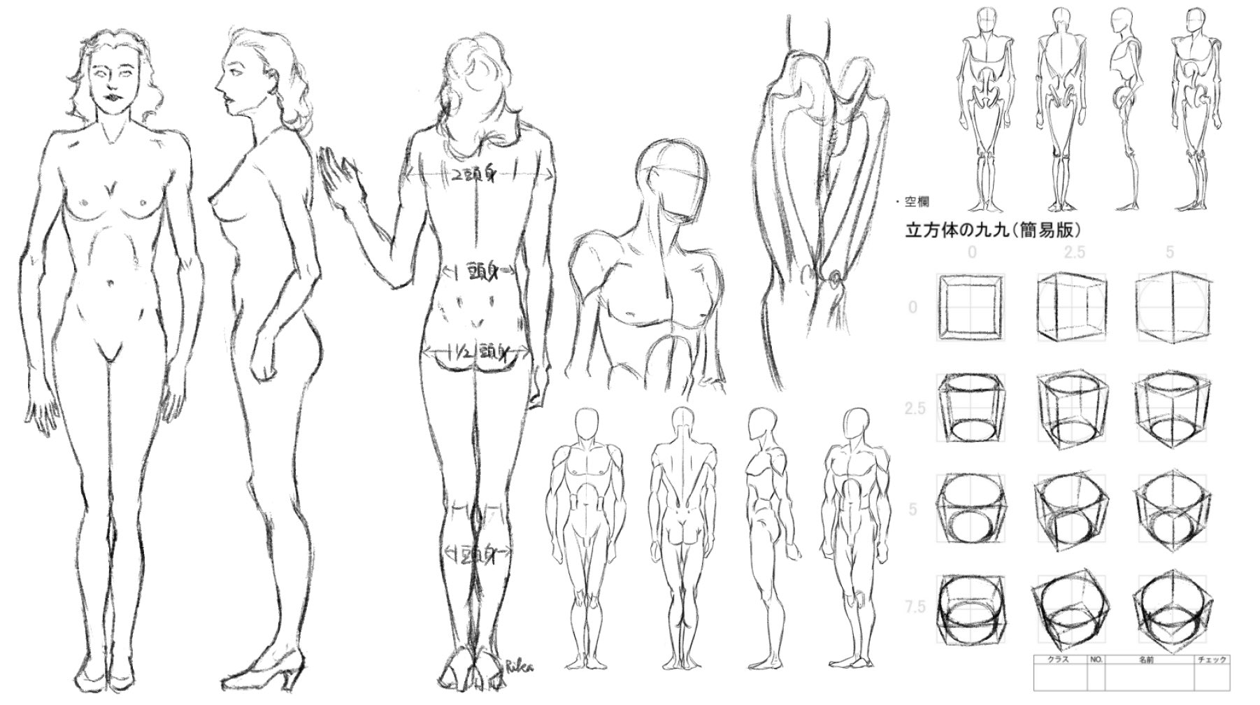 中央りか 218日目 ルーミスと立方体 骨格に肉付けしていくとどうしても歪むけど これは積み重ねだな 女体はもっと肩幅を狭く 日々描く 立方体の九九 中央りか 218日目 ルーミスと立方体 骨格に肉付けしていくとどうしても歪むけど これは積み重ねだな 女体はもっと肩幅を狭く 日々描く 立方体の九九