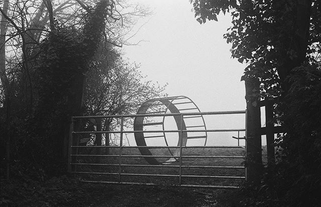 Strange form on the Icknield Way.

It might have moved when I looked away.

#walkingartist #icknieldway #35mmfilm ift.tt/2wiwtvc