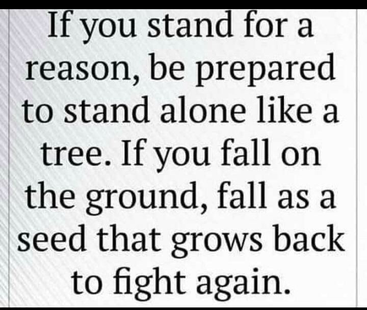 JKUATCU's tweet photo. Blessed Day
#tuesdayMotivation 
#TuesdayThoughts https://t.co/qibv6h30oS