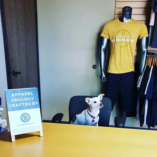 logowear's tweet image. Always fun when the Chief K9 Officer stops by for a visit! 
#customapparel #custombroiderysandiego #brandedswag #swag #logowearcompany ift.tt/2u5mIQj