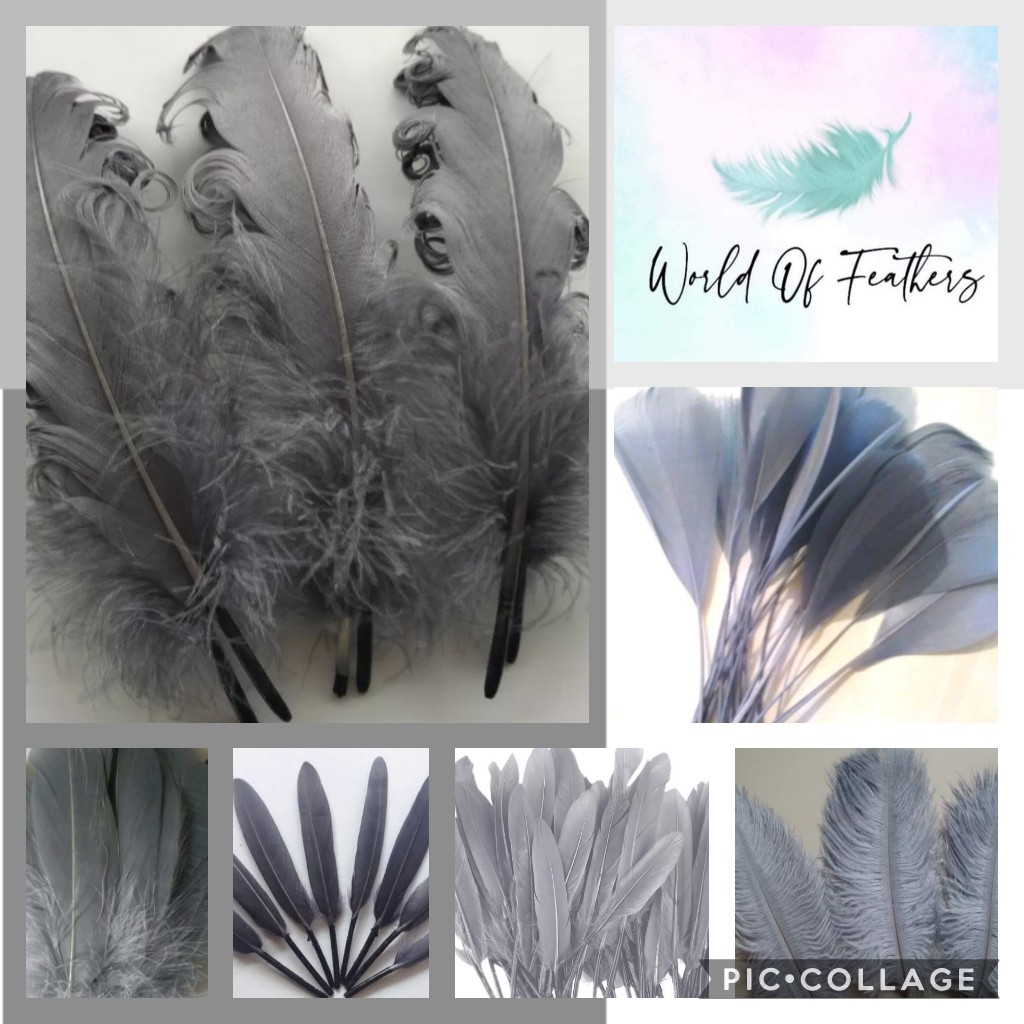 🖤🖤 Beautiful Grey's 🖤🖤
#feathers #greyfeathers