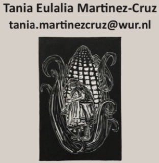 Tomorrow I’ll be presenting my research at @dartmouth on #nativemaize cultivation & how it’s linked to the ‘comunalidad’ principle of #indigenous communities in Oaxaca, #Mexico Thanks 4 the opportunity to share my research & findings #weareindigenous #nativeseeds #climatechange