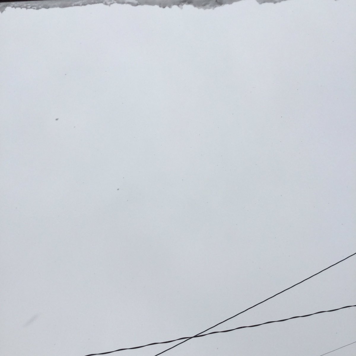 tonpyo's tweet photo. おはようございます。
今朝の富山市は雪が降っています。
今日は火曜日、2020年2月18日です。
Good morning!
It’s snowing in Toyama City.
Today is Tuesday, February 18,2020.
#calendar
#toyamacity
#japan
#orange
#brokennumbers
#日めくりカレンダー
#富山市
#みかん
#壊れた数字 https://t.co/ECbu3grA3U