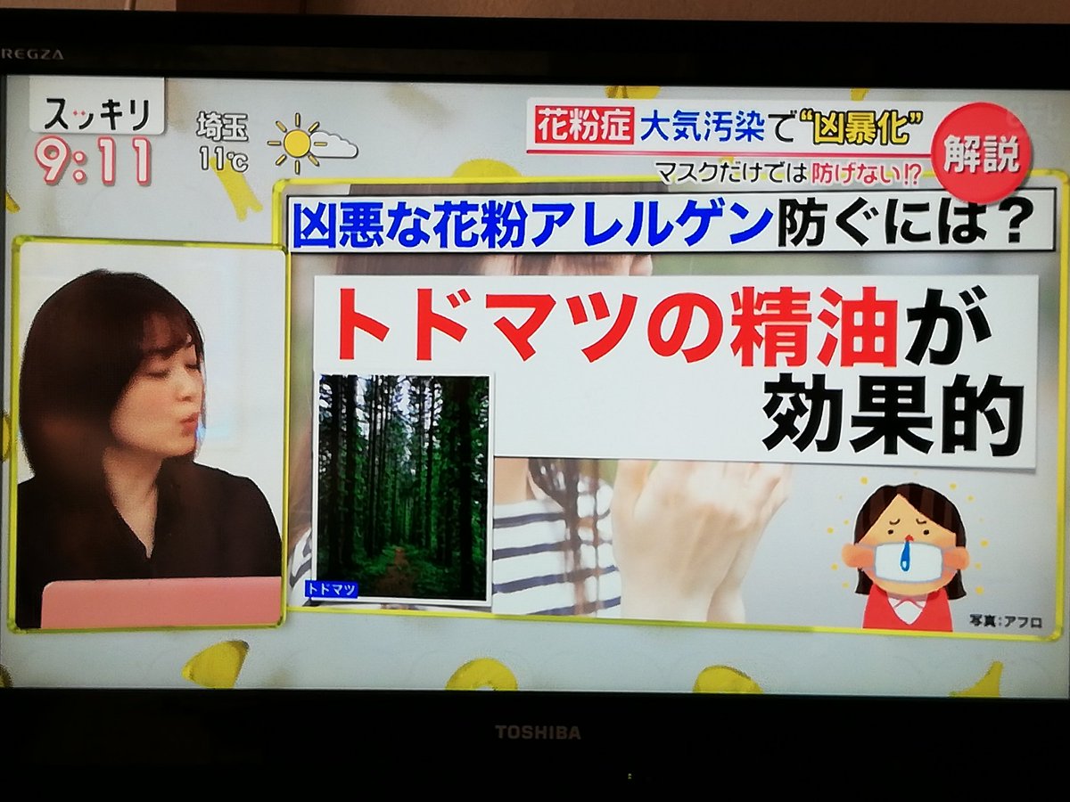 入野自由さんがどうしたって テレビから 花粉症にはトドマツの精油が効果的 を空耳した結果 トド松の声優 がトレンド入り Togetter