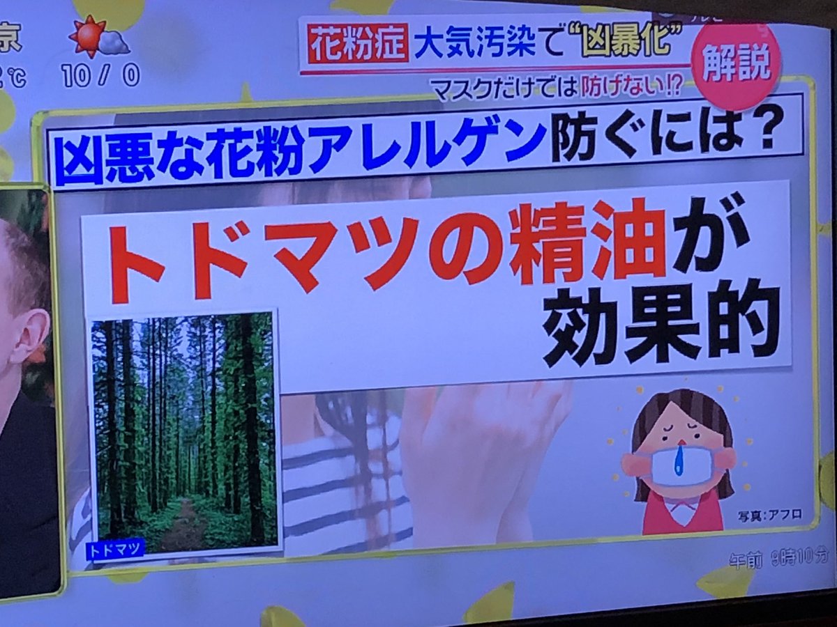 入野自由さんがどうしたって テレビから 花粉症にはトドマツの精油が効果的 を空耳した結果 トド松の声優 がトレンド入り Togetter