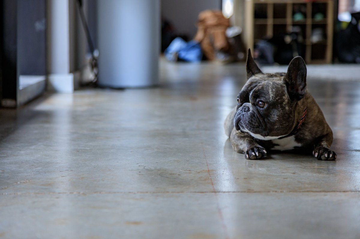 Not another Manic Monday at HDY! It’s Moose Mat Monday. Best way to start a new week, on your mat taking care of you. 
As always, we have our welcome package 
15 days of unlimited yoga for $15 
And our February special 
3 months unlimited yoga for $150 Promo code: LOVE